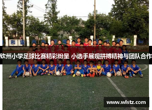 钦州小学足球比赛精彩纷呈 小选手展现拼搏精神与团队合作